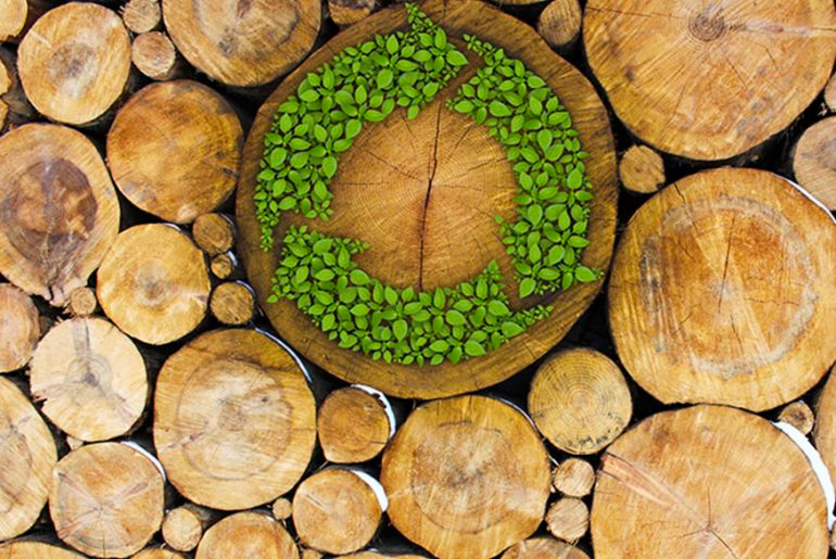 Furniture and Sustainable Living