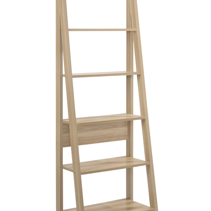 Riva - Ladder Bookcase