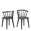 Lacquered Matt Black