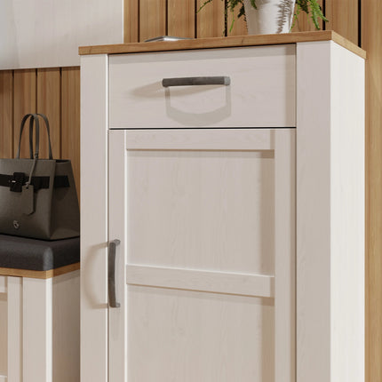 Bohol - 1 Door 1 Drawer Shoe Cabinet