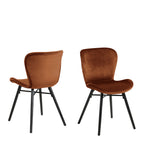 Copper Brown & Black