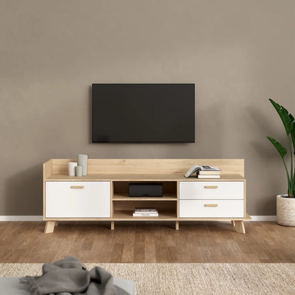 Ikast - TV Unit with 1 Door + 2 Drawers