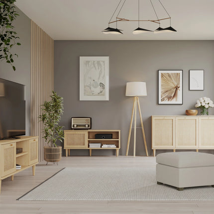 Calasetta - 1 Door 2 Shelf TV Unit in Rattan