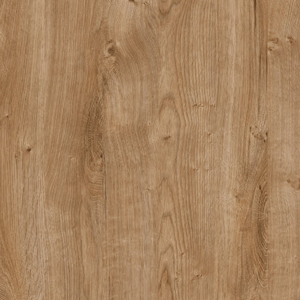 Close-up of light oak woodgrain texture with visible knots and grain variation