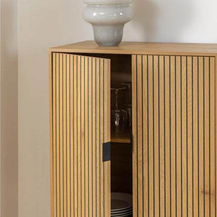 Jaipur - Cabinet with 2 Doors in Black