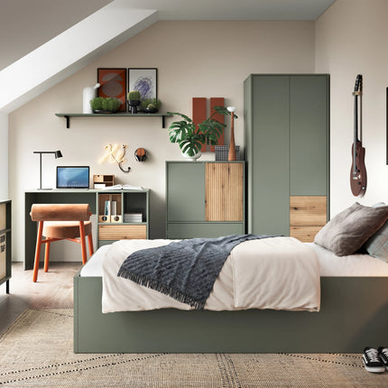 Darwin - Wardrobe 2 Door 2 Drawer