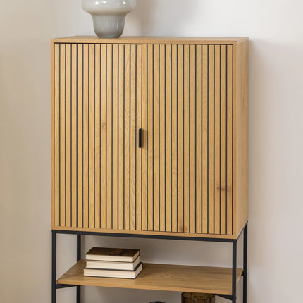 Jaipur - Cabinet with 2 Doors in Black
