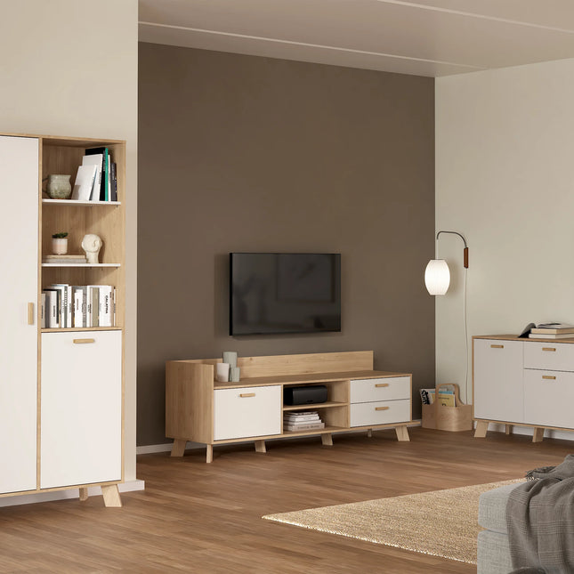 Ikast - TV Unit with 1 Door + 2 Drawers