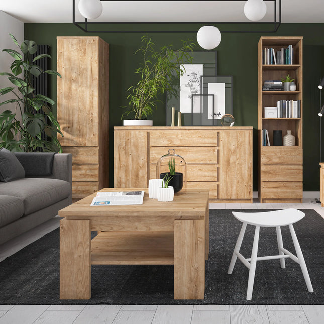 Fribo - 1 Door 5 Drawer Cabinet
